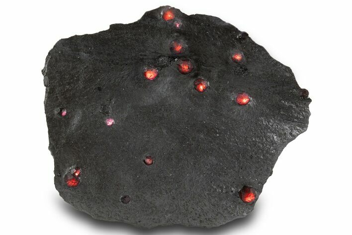 Plate of Red Embers Garnets in Graphite - Massachusetts #301190